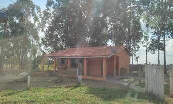 Imagem 4: Granja 100 mil frango, poço artesiano, casa boa, bom de água, piscina, 2 tanques de peixe