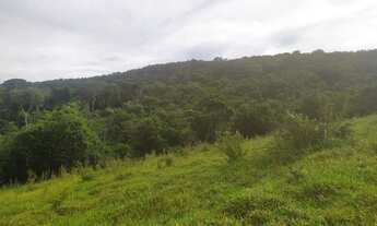 Imagem 3: Chácara de 2 alqueires em Pirenópolis - GO