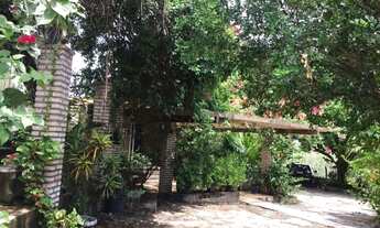 Imagem 6: 54699 - Sitio Cabana / Alameda dos Sabias - Todos os Santos