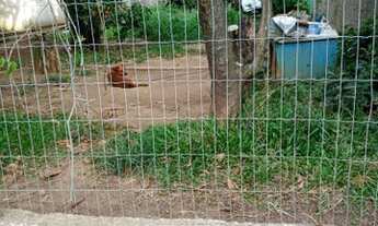 Imagem: Ótimo Terreno Parada 67 Gravataí