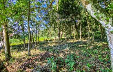 Imagem 2: FLORIANóPOLIS - Terreno Padrão - Morro Da Cruz