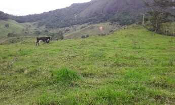 Imagem 3: MINI-FAZENDA COM 22,5 ALQUEIRÃO EM CONCEIÇÃO DE MACABÚ
