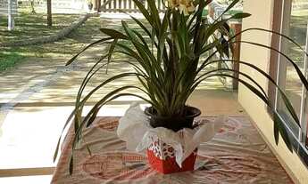 Imagem 6: Chácara para venda em Cesário Lange com 600 m2