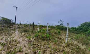 Imagem 2: Terreno de 250 mil metros quadrados em D'Ávila - BA Área Industrial