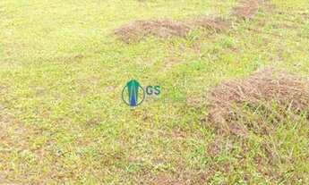 Imagem 4: Vendo terreno de 10.615 m² em Santo Amaro da Imperatriz