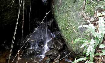 Imagem 5: Lote/Terreno para venda tem 24200 metros quadrados