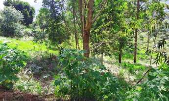 Imagem 3: Terreno à venda, 540 m² por R$ 320.000,00 - Braunes - Nova Friburgo/RJ