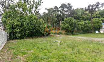 Imagem 3: CURITIBA - Terreno Padrão - Campo Comprido