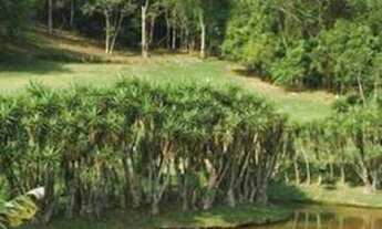 Imagem 5: LINDO SÍTIO Fazenda / sítio com venda por R$1.500.000