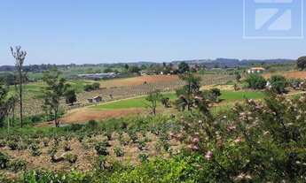 Imagem 7: Comercial à venda 45460M², Fazenda Tamburi, Campinas - SP