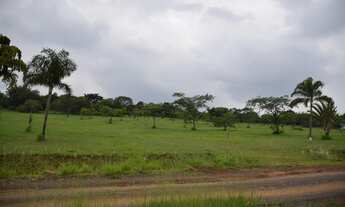 Imagem 2: Lote/Terreno para venda tem 1000 metros quadrados em Lomba Grande - Novo Hamburgo - RS