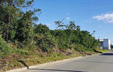 Imagem 3: Oportunidade: Área com 13.120m2 - Porto Grande - Araquari - SC