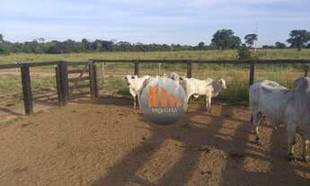 Imagem 5: Fazenda, 4000 hectares - venda por R$ 30.000.000 - Ribeirão Cascalheira/Mato Grosso