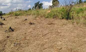 Imagem 2: O certo para você