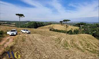 Imagem 4: Chácara para Venda em Balsa Nova, Bugre/Rodeio Santo Antônio