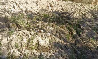 Imagem 3: Lote bairro Verona/Xangrilá escriturado