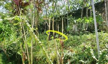 Imagem 7: Área à venda, 5000 m² por R$ 1.200.000,00 - Chácara Recanto Verde - Cotia/SP