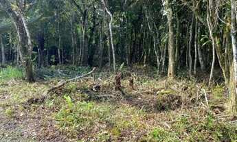 Imagem 3: Terreno barato no litoral - entrada e parcelas - Itanhaém/Sp ter045