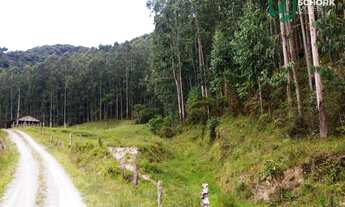 Imagem 4: Sítio à venda, 264.666 m² por R$ 220.000