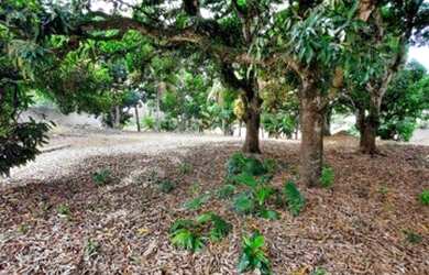 Imagem 2: Terreno em Jacaraípe