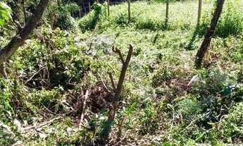 Imagem 2: CAXIAS DO SUL - Terreno Padrão - Desvio Rizzo