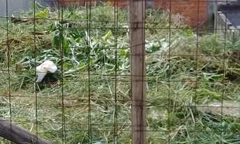 Imagem: Terreno Oportunidade