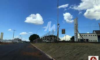 Imagem 6: Salão/Galpão (salão - térreo