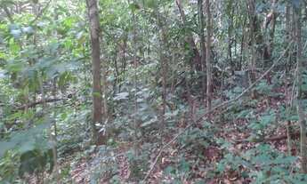 Imagem 5: Chácara de 2 alqueires em Pirenópolis - GO