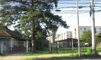 Imagem 2: PORTO ALEGRE - Terreno Padrão - Sarandi