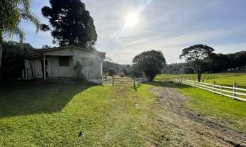 Imagem 6: Fazenda/Sítio/Chácara para venda com 6000 metros quadrados