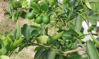 Imagem 2: Lote Corumbá 4 Recanto do Pescador 1