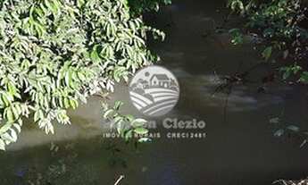 Imagem 6: Machadinho D'Oeste - Sítio - 15 alqueires