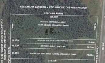 Imagem 2: TERRENO PARA VENDA BR 101 COM 41.000m2 em Balneário Piçarras/SC