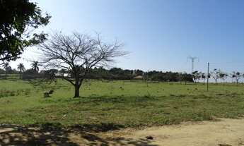 Imagem 2: Fazenda/Sítio/Chácara para aluguel possui 96000 metros quadrados com 3 quartos