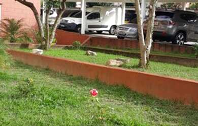 Imagem 4: APARTAMENTO - JARDIM ALVORADA