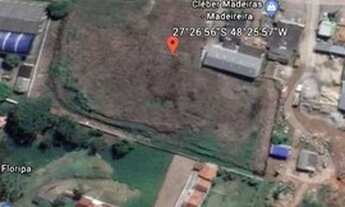 Imagem: Excelente área na SC-403 - caminho para