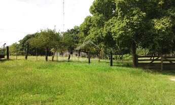 Imagem 2: Fazenda à venda no município de Nossa Senhora do Livramento-MT