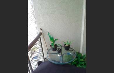 Imagem 6: Apartamento à venda - Jardim Vila Formosa