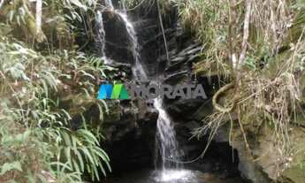 Imagem 4: OURO PRETO - Fazenda - Zona Rural