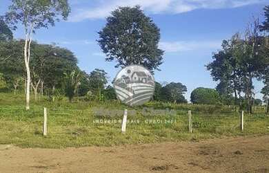 Imagem 7: Jaru - Sítio - Fazenda / sítio com venda por R$3.200.000