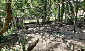 Imagem 4: Chácara em Portão REF: 210308