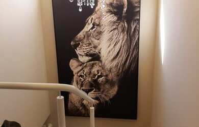 Imagem 7: Apartamento à venda, Beira Rio, Biguaçu, SC