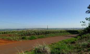 Imagem 2: Vendo sitio perimetro urbano cambé