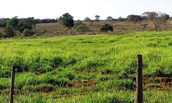 Imagem: Fazenda/Sítio/Chácara para venda com 4.180