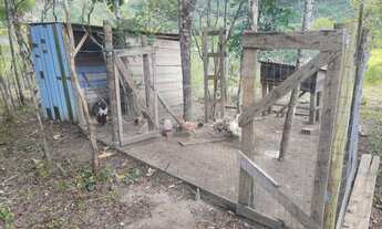 Imagem 4: Sítio para venda com 1500 metros quadrados em Camboriú - SC