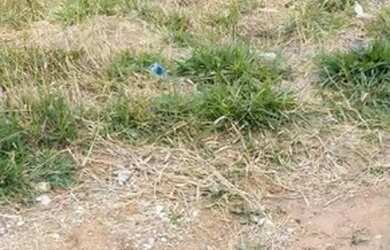 Imagem 3: MAIRINQUE - Terreno Padrão - RENEVILLE