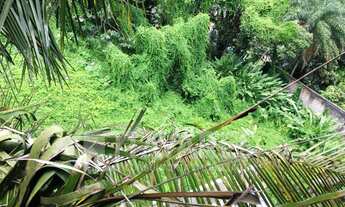 Imagem 4: Terreno em Joá Terreno / lote com venda por R$2.000.000