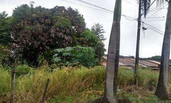 Imagem 7: Vendo Terreno de 9.154 M² no Vila Maria Luiza