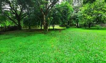 Imagem 5: Vendo Sítio em Santa Barbara (Aceita Carro como Parte do Pagamento