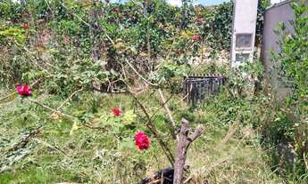 Imagem 5: Terra para Venda em Limeira, Bairro dos Pires